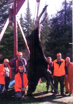 Moose hunting in Ontario
